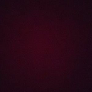 Meet your Posher, Ella